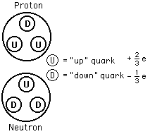 کوارک بالا (up quark) و کوارک پایین (down quark)، اجزای سازنده پروتون (proton) و نوترون (neutron) می باشند.